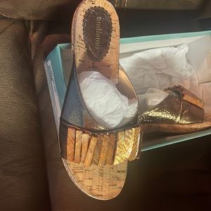 These shoes have a very beautiful bronze bangle shell look